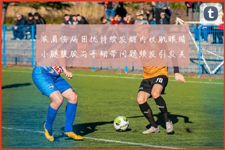 浓眉伤病困扰持续发酵内收肌眼睛小腿腹股沟手韧带问题频发引发关注