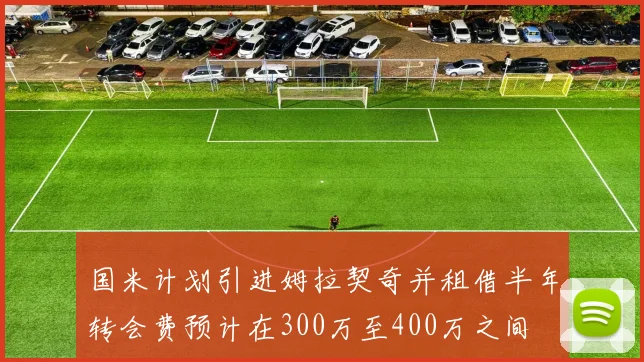 国米计划引进姆拉契奇并租借半年转会费预计在300万至400万之间